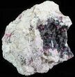 Roselite Crystals on Calcite - Morocco #61203-2